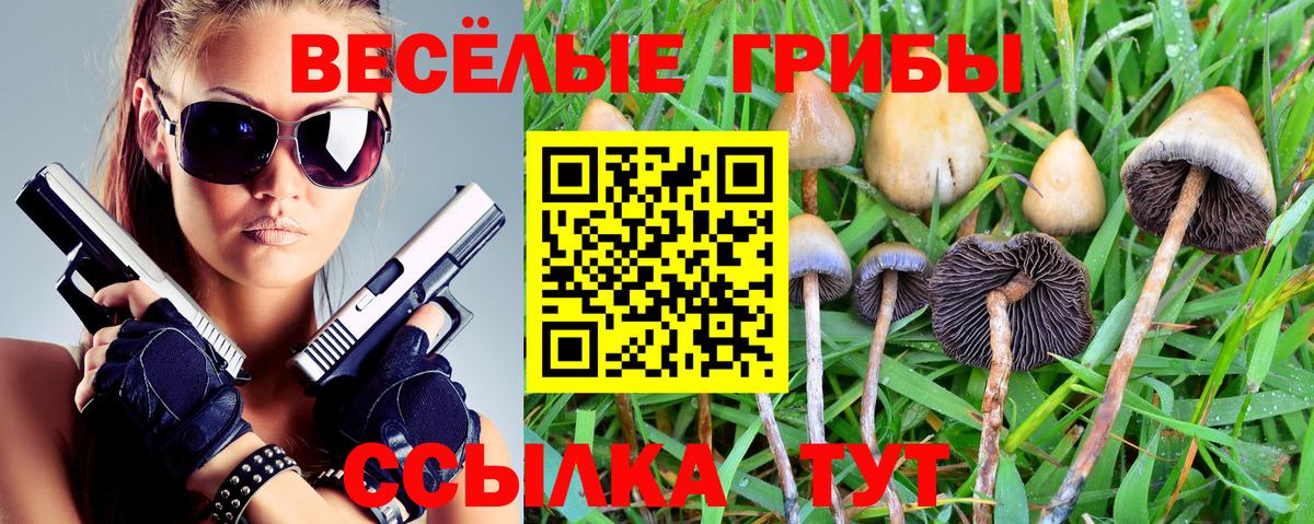 Менделеевск  Галлюциногенные грибы MAGIC MUSHROOMS  как найти закладки  Вход с VPN 