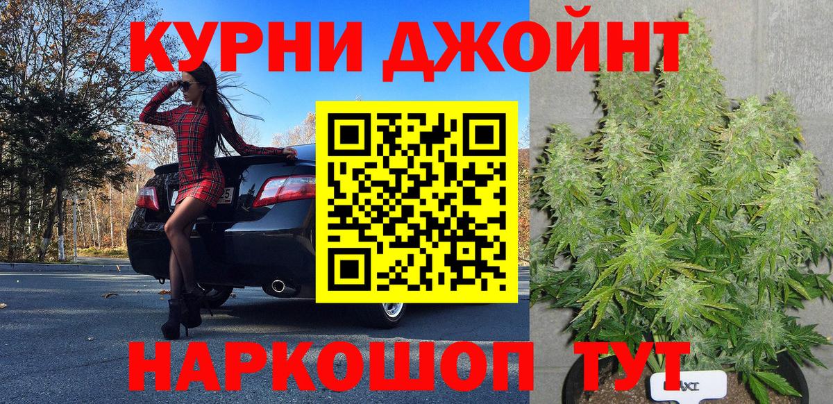 Канабис сатива Менделеевск